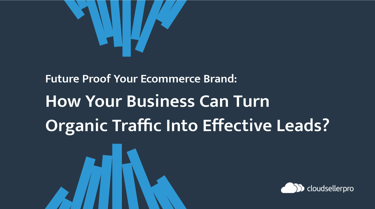 Webinar Graphic - How Your Business Can Turn Organic Traffic Into Effective Leads.