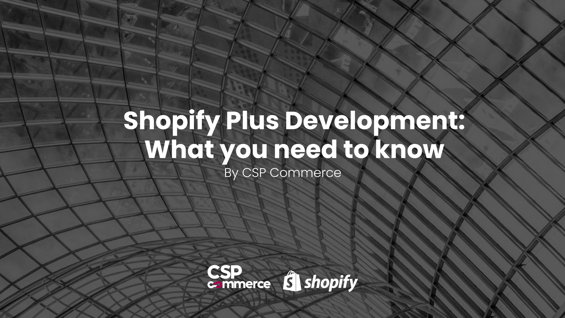 Shopify Plus Development: what you need to know (2023)